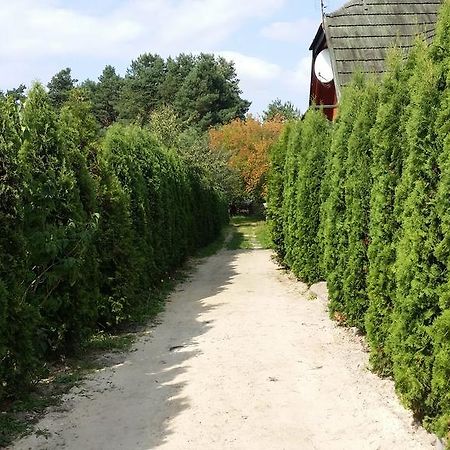 Wyspa Kampinos Brochów Exteriér fotografie