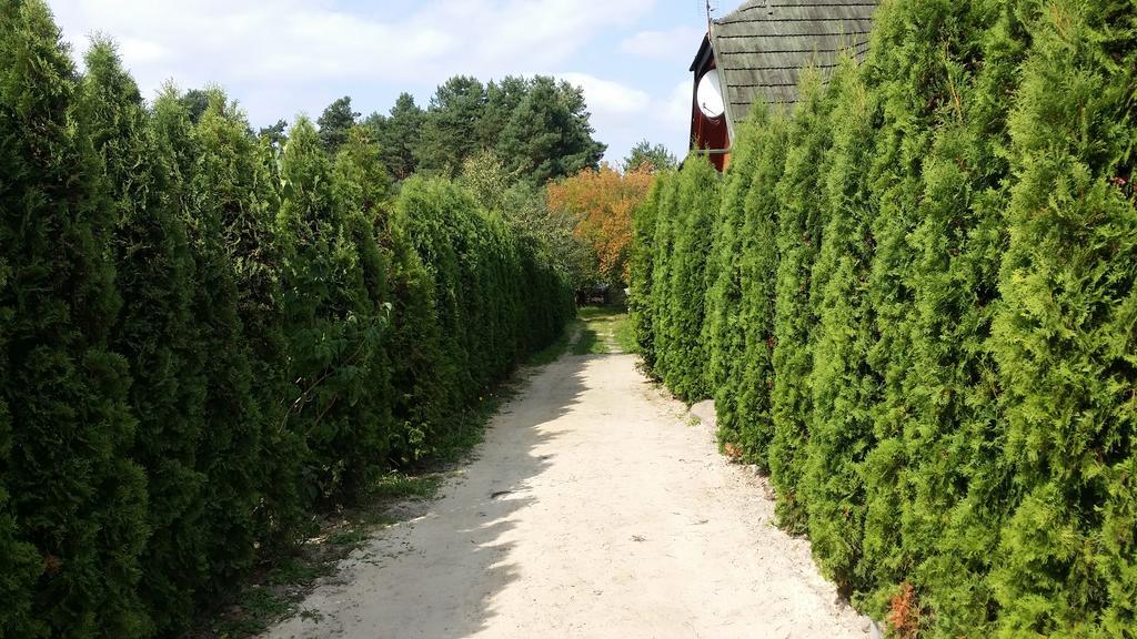 Wyspa Kampinos Brochów Exteriér fotografie